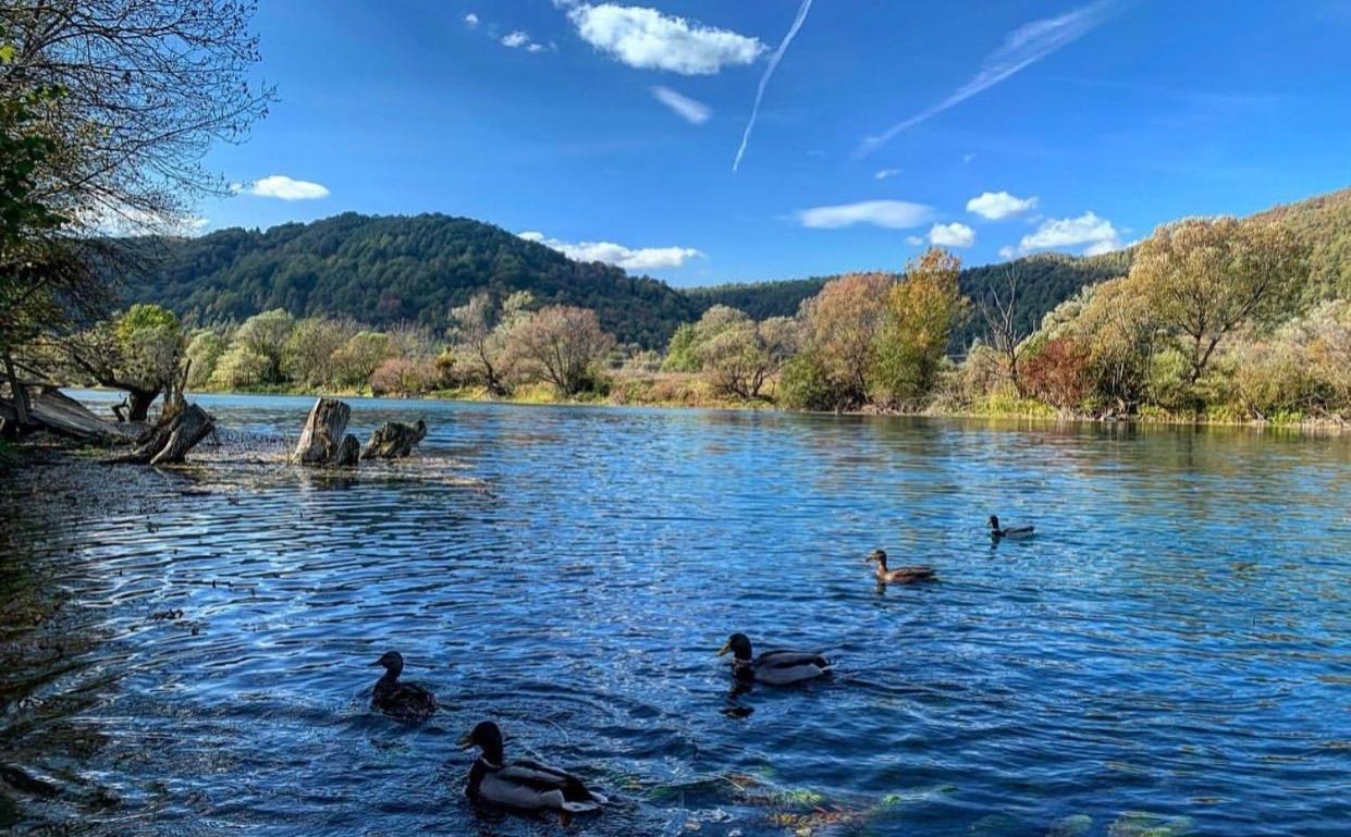 Crystal Racic Villa Bihac Ngoại thất bức ảnh